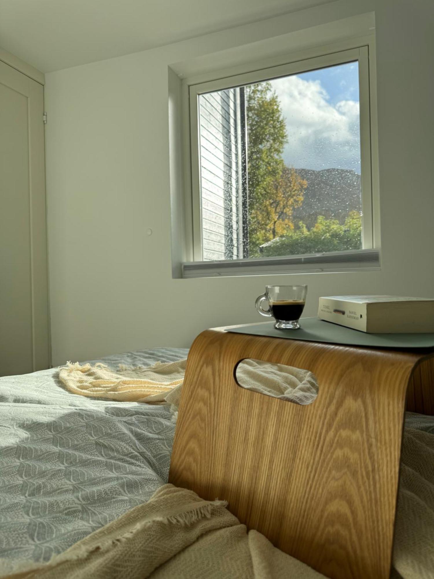 Luxury Apartment Vip Northern Lights Trip トロムソ エクステリア 写真