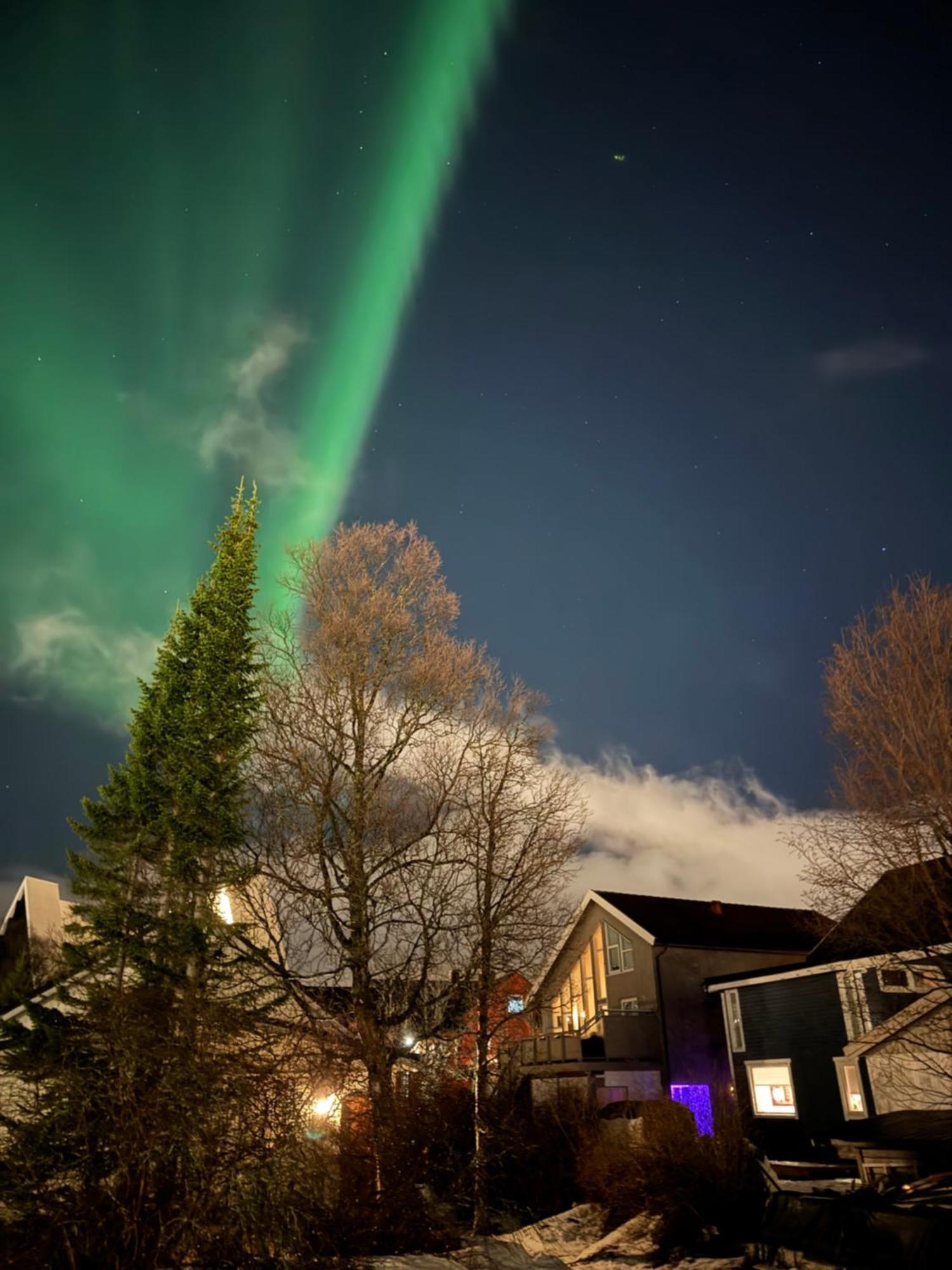 Luxury Apartment Vip Northern Lights Trip トロムソ エクステリア 写真